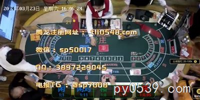 騰龍國際：澳門賭場，年輕人的狂歡！????