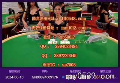 緬甸賭場，騰龍娛樂，騰龍公司，緬甸騰龍賭場，騰龍國際，麥芒國際，麥芒娛樂，麥芒公司